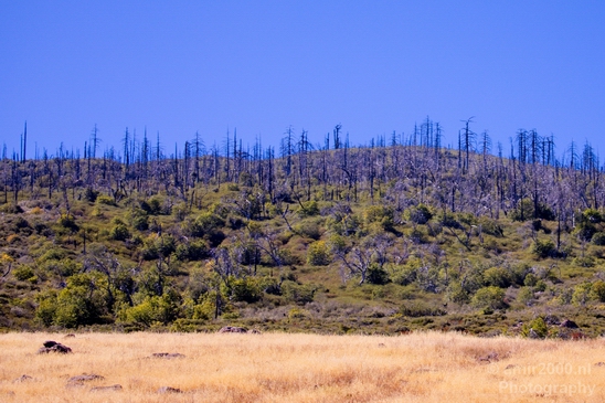 Anza_Borrego_Desert_State_Park_California_landscape_nature_fall_autumn_Usa_Photography_057_Canon_EOS_5D_Mark_IV.JPG