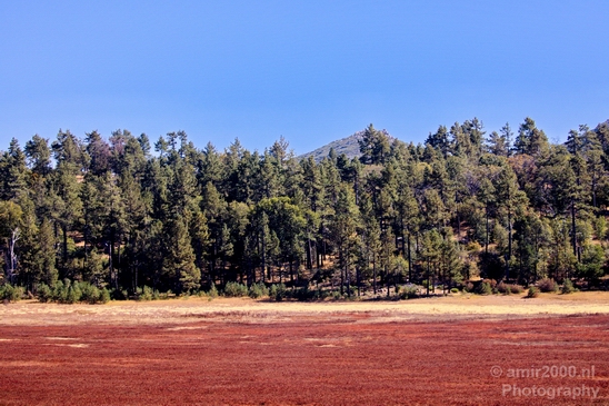 Anza_Borrego_Desert_State_Park_California_landscape_nature_fall_autumn_Usa_Photography_067_Canon_EOS_5D_Mark_IV.JPG