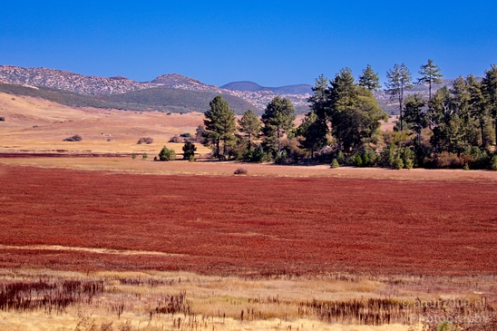 Anza_Borrego_Desert_State_Park_California_landscape_nature_fall_autumn_Usa_Photography_068_Canon_EOS_5D_Mark_IV.JPG