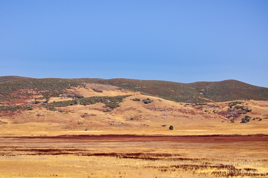 Anza_Borrego_Desert_State_Park_California_landscape_nature_fall_autumn_Usa_Photography_072_Canon_EOS_5D_Mark_IV.JPG