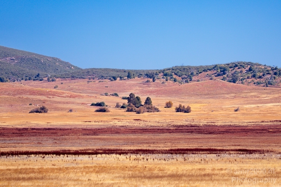Anza_Borrego_Desert_State_Park_California_landscape_nature_fall_autumn_Usa_Photography_073_Canon_EOS_5D_Mark_IV.JPG