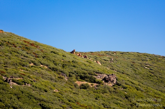 Anza_Borrego_Desert_State_Park_California_landscape_nature_fall_autumn_Usa_Photography_086_Canon_EOS_5D_Mark_IV.JPG
