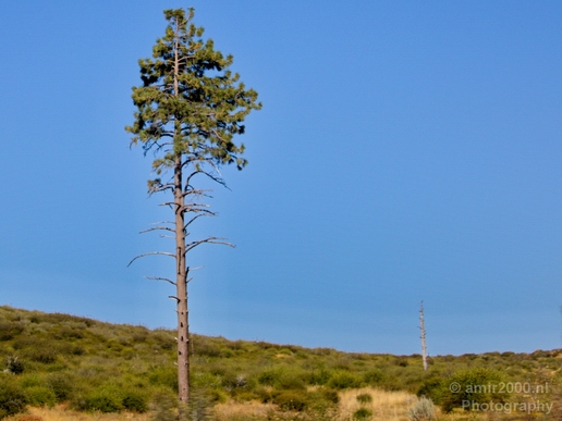Anza_Borrego_Desert_State_Park_California_landscape_nature_fall_autumn_Usa_Photography_088_Canon_EOS_5D_Mark_IV.JPG
