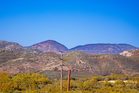 Anza_Borrego_Desert_State_Park_California_landscape_nature_fall_autumn_Usa_Photography_098_Canon_EOS_5D_Mark_IV.JPG