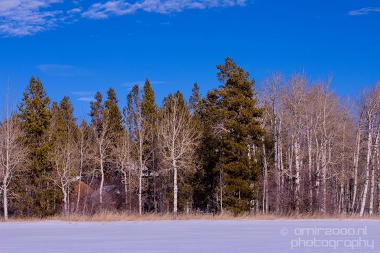 Ashton_Idaho_USA_landscape_nature_Photography_038_Canon_EOS_5D_Mark_IV.JPG