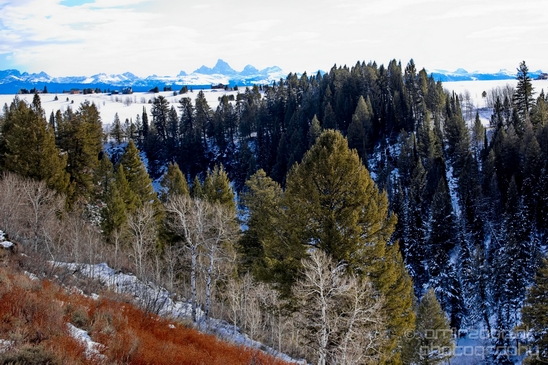 Ashton_Idaho_USA_landscape_nature_Photography_049_Canon_EOS_5D_Mark_IV.JPG