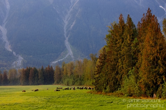 British_Columbia_nature_landscape_Canada_Usa_Photography_066_Canon_EOS_5D_Mark_IV.JPG