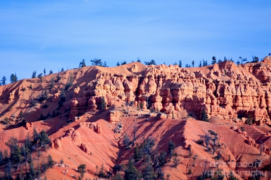 Bryce_canyon_nature_landscape_Utah_USA_Photography_002_Canon_EOS_5D_Mark_IV.JPG