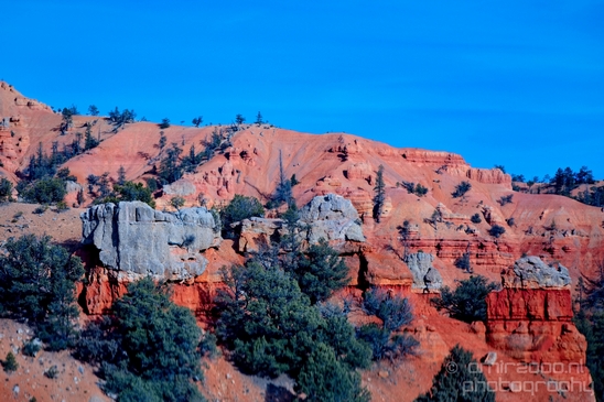 Bryce_canyon_nature_landscape_Utah_USA_Photography_003_Canon_EOS_5D_Mark_IV.JPG