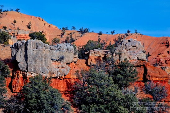 Bryce_canyon_nature_landscape_Utah_USA_Photography_004_Canon_EOS_5D_Mark_IV.JPG