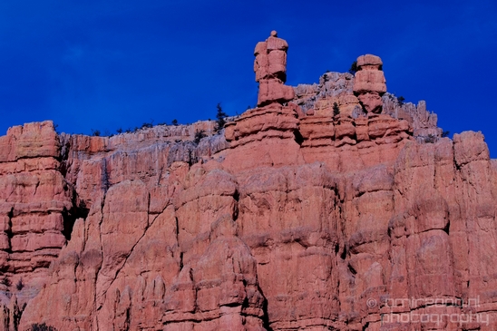 Bryce_canyon_nature_landscape_Utah_USA_Photography_006_Canon_EOS_5D_Mark_IV.JPG