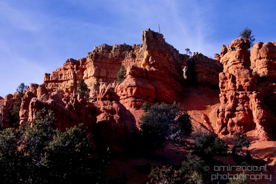 Bryce_canyon_nature_landscape_Utah_USA_Photography_007_Canon_EOS_5D_Mark_IV.JPG