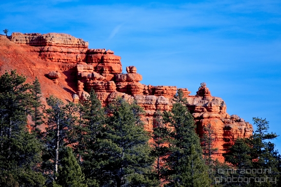 Bryce_canyon_nature_landscape_Utah_USA_Photography_008_Canon_EOS_5D_Mark_IV.JPG