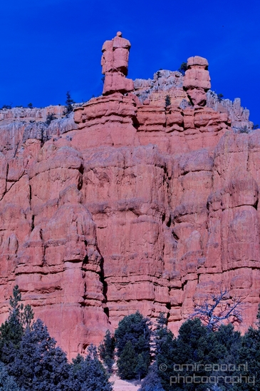 Bryce_canyon_nature_landscape_Utah_USA_Photography_009_Canon_EOS_5D_Mark_IV.JPG