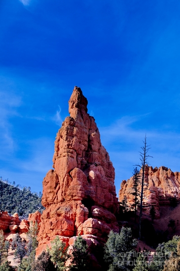 Bryce_canyon_nature_landscape_Utah_USA_Photography_010_Canon_EOS_5D_Mark_IV.JPG