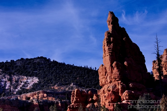 Bryce_canyon_nature_landscape_Utah_USA_Photography_011_Canon_EOS_5D_Mark_IV.JPG