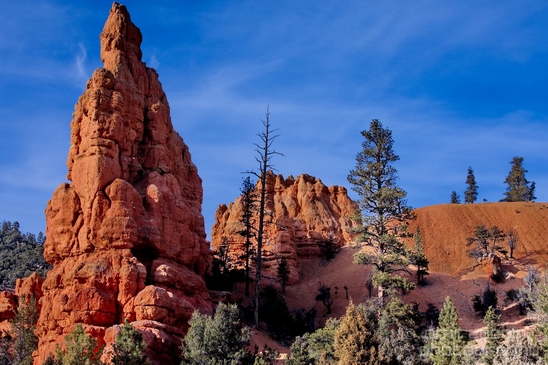 Bryce_canyon_nature_landscape_Utah_USA_Photography_012_Canon_EOS_5D_Mark_IV.JPG