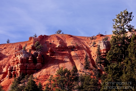 Bryce_canyon_nature_landscape_Utah_USA_Photography_013_Canon_EOS_5D_Mark_IV.JPG