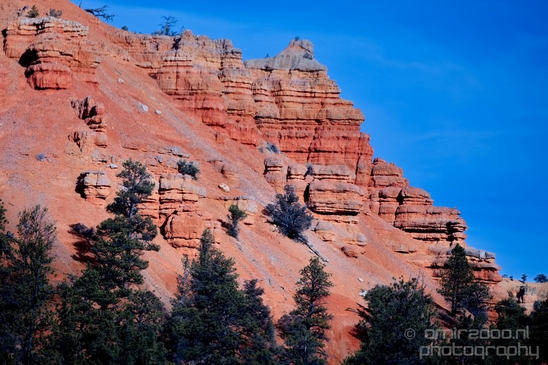 Bryce_canyon_nature_landscape_Utah_USA_Photography_014_Canon_EOS_5D_Mark_IV.JPG