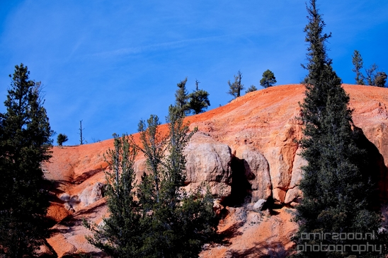 Bryce_canyon_nature_landscape_Utah_USA_Photography_017_Canon_EOS_5D_Mark_IV.JPG
