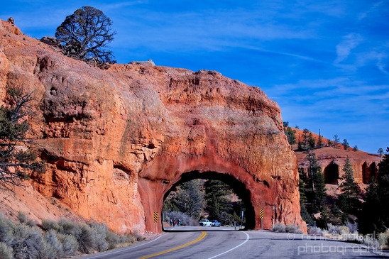 Bryce_canyon_nature_landscape_Utah_USA_Photography_018_Canon_EOS_5D_Mark_IV.JPG
