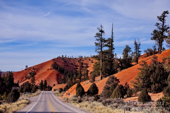 Bryce_canyon_nature_landscape_Utah_USA_Photography_022_Canon_EOS_5D_Mark_IV.JPG