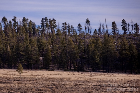 Bryce_canyon_nature_landscape_Utah_USA_Photography_026_Canon_EOS_5D_Mark_IV.JPG
