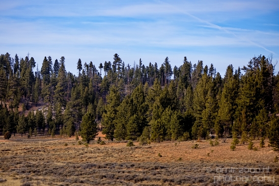 Bryce_canyon_nature_landscape_Utah_USA_Photography_027_Canon_EOS_5D_Mark_IV.JPG