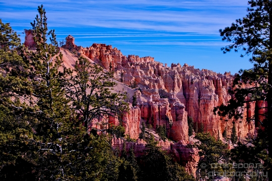Bryce_canyon_nature_landscape_Utah_USA_Photography_028_Canon_EOS_5D_Mark_IV.JPG
