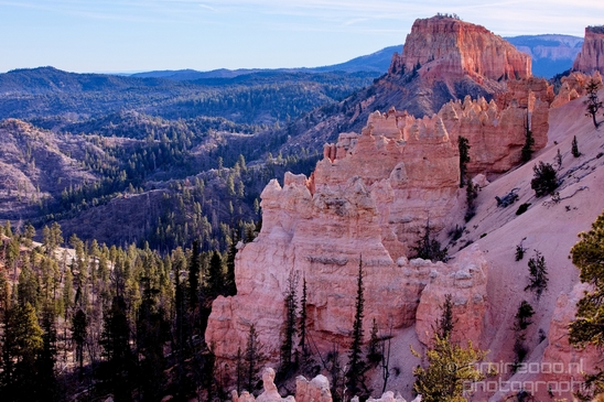 Bryce_canyon_nature_landscape_Utah_USA_Photography_029_Canon_EOS_5D_Mark_IV.JPG