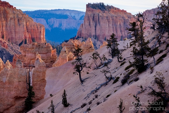 Bryce_canyon_nature_landscape_Utah_USA_Photography_031_Canon_EOS_5D_Mark_IV.JPG