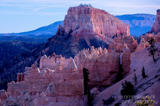 Bryce_canyon_nature_landscape_Utah_USA_Photography_032_Canon_EOS_5D_Mark_IV.JPG