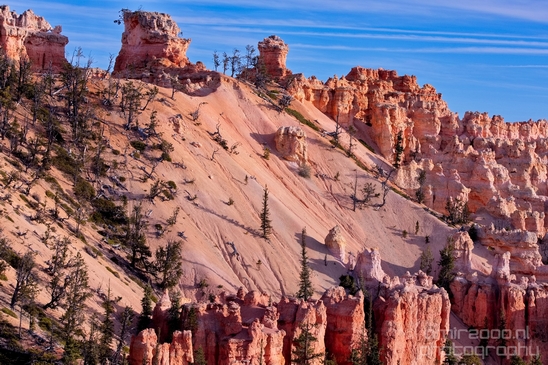 Bryce_canyon_nature_landscape_Utah_USA_Photography_033_Canon_EOS_5D_Mark_IV.JPG