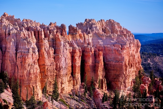 Bryce_canyon_nature_landscape_Utah_USA_Photography_034_Canon_EOS_5D_Mark_IV.JPG