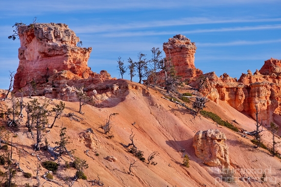 Bryce_canyon_nature_landscape_Utah_USA_Photography_036_Canon_EOS_5D_Mark_IV.JPG