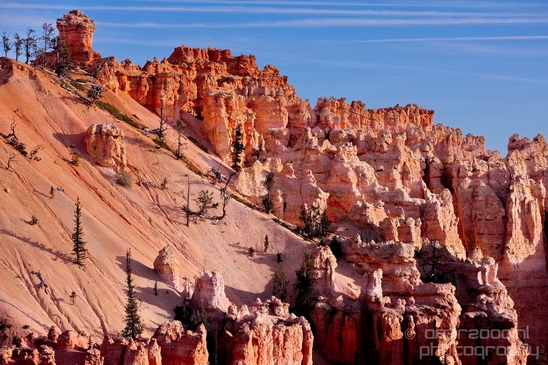 Bryce_canyon_nature_landscape_Utah_USA_Photography_037_Canon_EOS_5D_Mark_IV.JPG