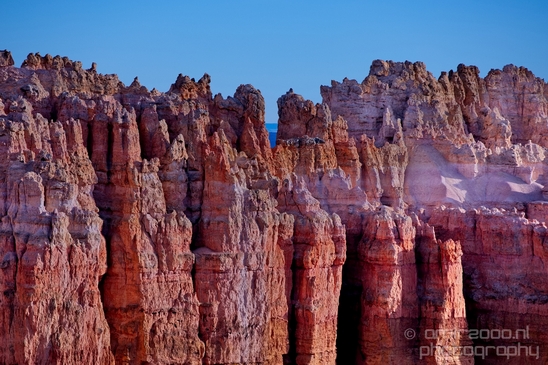 Bryce_canyon_nature_landscape_Utah_USA_Photography_038_Canon_EOS_5D_Mark_IV.JPG