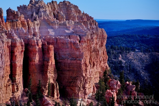 Bryce_canyon_nature_landscape_Utah_USA_Photography_039_Canon_EOS_5D_Mark_IV.JPG