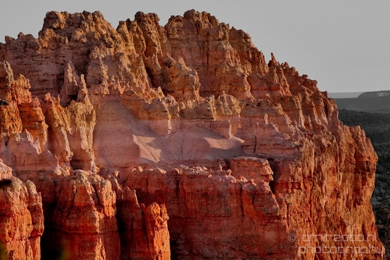 Bryce_canyon_nature_landscape_Utah_USA_Photography_040_Canon_EOS_5D_Mark_IV.JPG