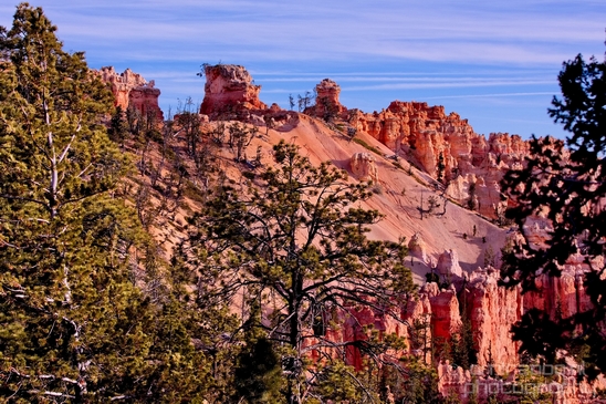 Bryce_canyon_nature_landscape_Utah_USA_Photography_041_Canon_EOS_5D_Mark_IV.JPG