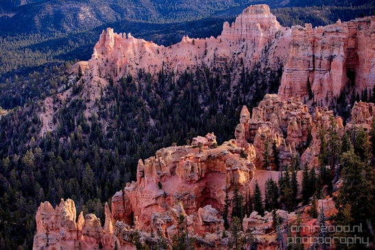 Bryce_canyon_nature_landscape_Utah_USA_Photography_047_Canon_EOS_5D_Mark_IV.JPG