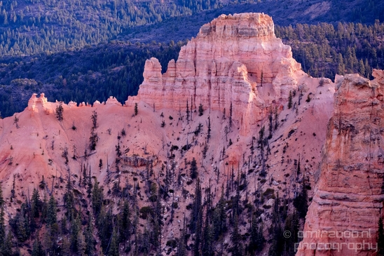 Bryce_canyon_nature_landscape_Utah_USA_Photography_048_Canon_EOS_5D_Mark_IV.JPG