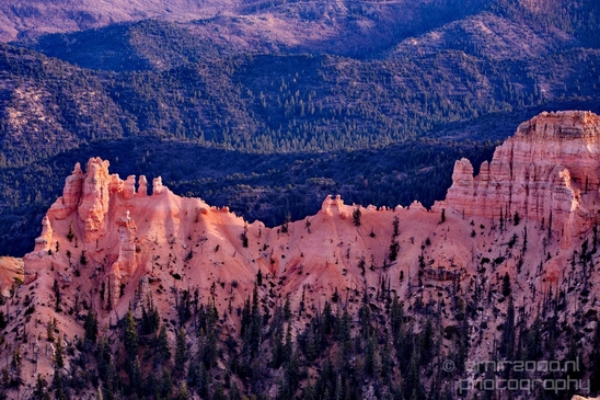 Bryce_canyon_nature_landscape_Utah_USA_Photography_052_Canon_EOS_5D_Mark_IV.JPG