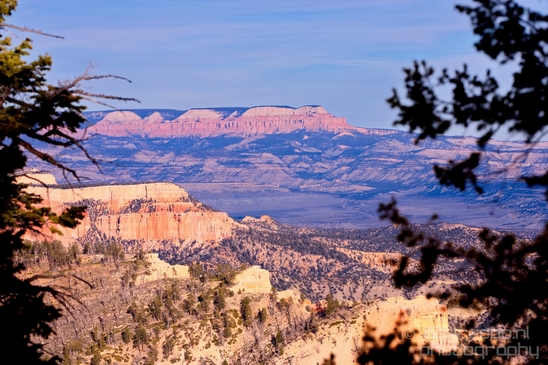 Bryce_canyon_nature_landscape_Utah_USA_Photography_056_Canon_EOS_5D_Mark_IV.JPG