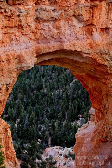 Bryce_canyon_nature_landscape_Utah_USA_Photography_059_Canon_EOS_5D_Mark_IV.JPG