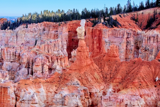 Bryce_canyon_nature_landscape_Utah_USA_Photography_064_Canon_EOS_5D_Mark_IV.JPG