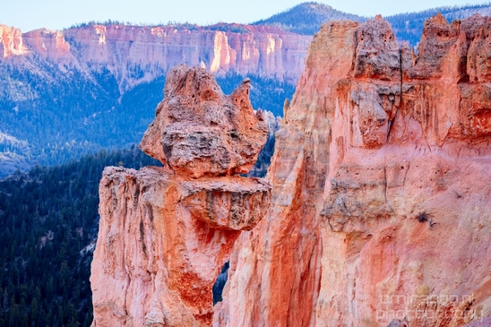 Bryce_canyon_nature_landscape_Utah_USA_Photography_065_Canon_EOS_5D_Mark_IV.JPG