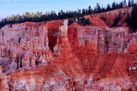 Bryce_canyon_nature_landscape_Utah_USA_Photography_066_Canon_EOS_5D_Mark_IV.JPG