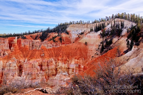 Bryce_canyon_nature_landscape_Utah_USA_Photography_067_Canon_EOS_5D_Mark_IV.JPG