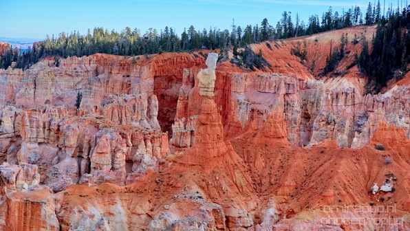 Bryce_canyon_nature_landscape_Utah_USA_Photography_070_Canon_EOS_5D_Mark_IV.JPG